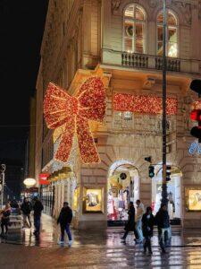 viena targ 6