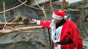 Eveniment pentru întreaga familie: „Crăciunul Animalelor”, la Grădina Zoologică Oradea