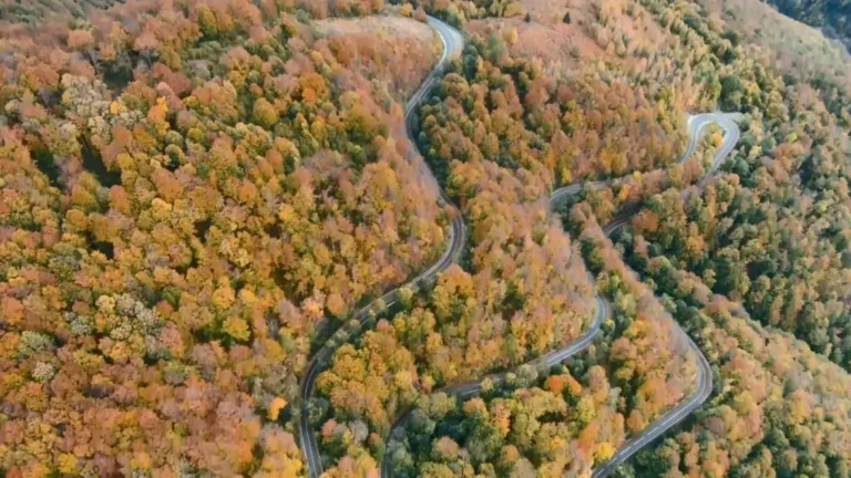 Alba, Cluj și Bihor își propun o colaborare pentru ințierea unui Plan de Amenajare a Teritoriului Zonal „Munții Apuseni”