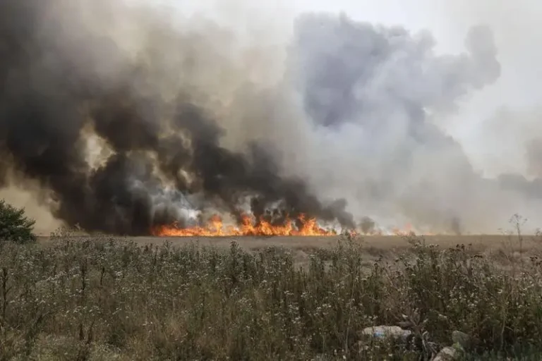 Incendii violente în Los Angeles / 30.000 de persoane evacuate / Air Force One, blocat la sol / Pompierii nu pot controla flăcările din cauza vântului puternic