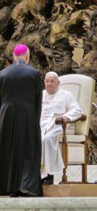 bercea papa 2