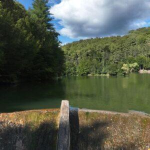 lacul vida 7