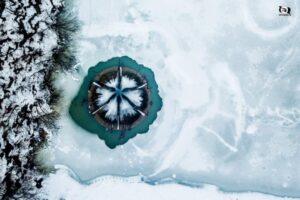 lacul vida coperta