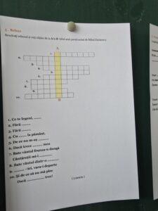 liceul de arte valeria bunica (41)