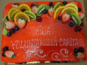 ziua voluntarului caritas (2)