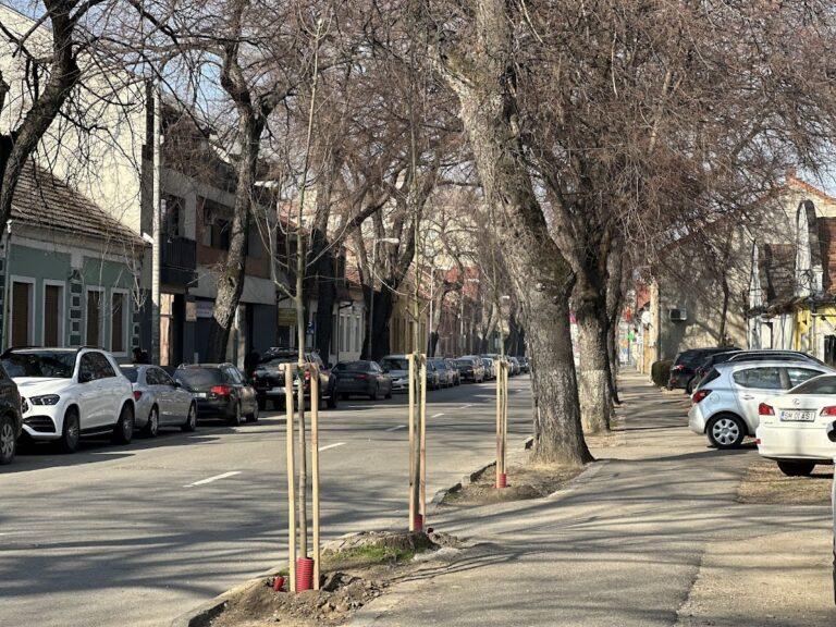 2.500 de arbori noi, plantați în Oradea. Fiecare arbore are un cod unic de identificare