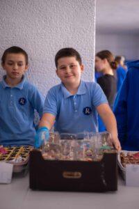 carnaval prajituri lazar (4)