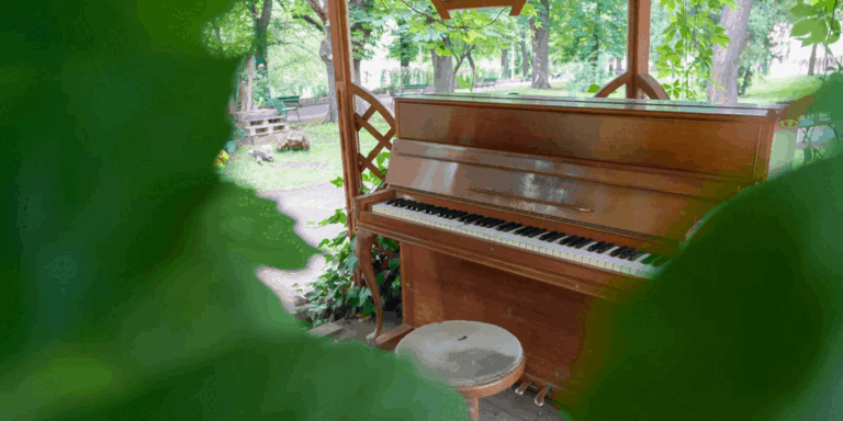 Studenții din Oradea, invitați să propună un nou pavilion pentru pianina din Parcul Libertății