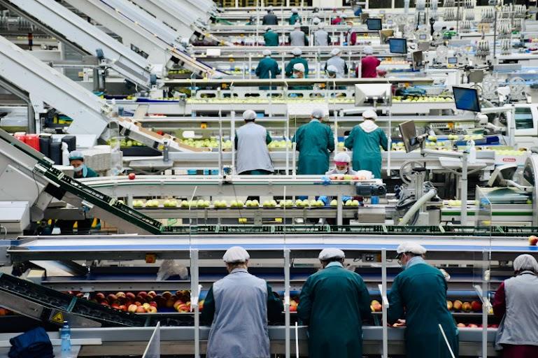 ­­60 de milioane de euro, investiți în procesarea produselor agricole și pomicole din județul Bihor
