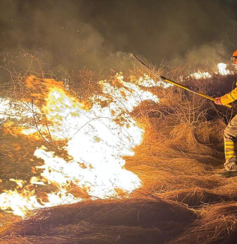 Gospodării și păduri, în pericol din cauza incendiilor