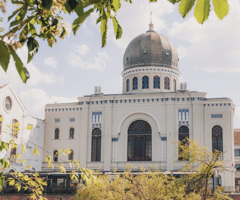 Oradea Heritage caută parteneri pentru servicii de catering la evenimentele organizate la Casa Darvas-La Roche și Sinagoga Sion