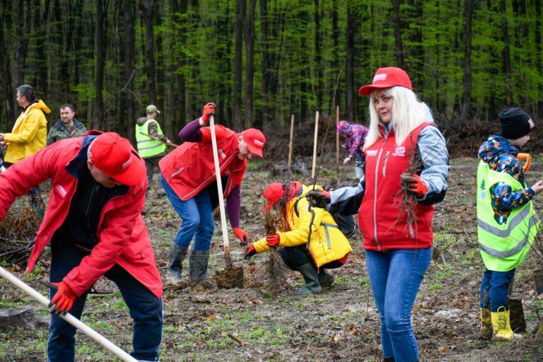 Peste 9000 de puieți au fost plantați pe o suprafață de două hectare în Bihor