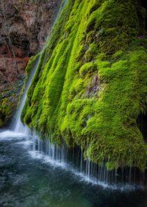 cascada vadu crisului