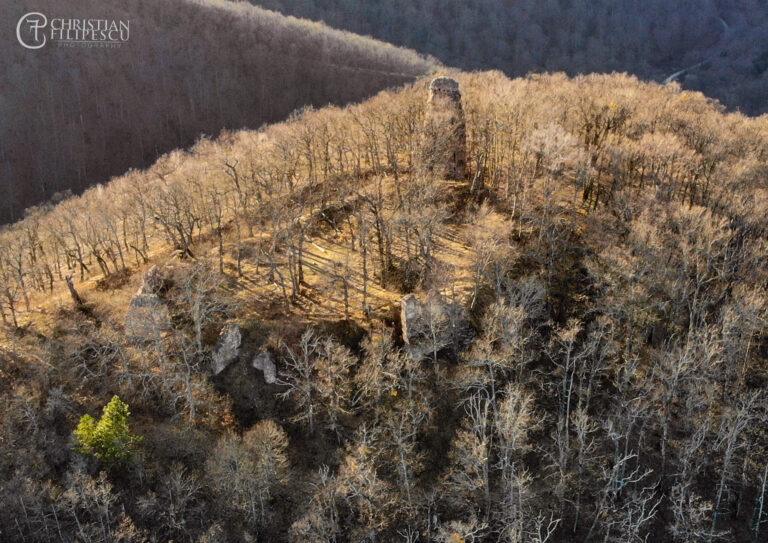 Valea Finișului, colțul de rai al Munților Codru-Moma
