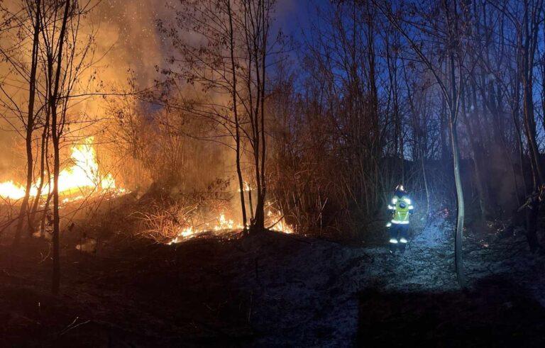 Terenuri în flăcări, în Bihor. Peste 26 de hectare au fost afectate într-o după amiază