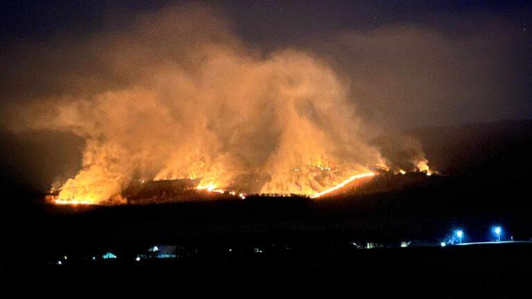 Ne ard pădurile! 40 de incendii de vegetație în Bihor, din care patru s-au propagat la păduri. Pompierii luptă pentru a împiedica extinderea focului la o pădure din apropiere de Pietroasa