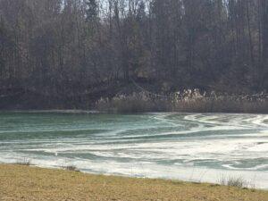 lac Stei Valea Untului (13)