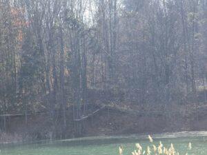 lac Stei Valea Untului (25)