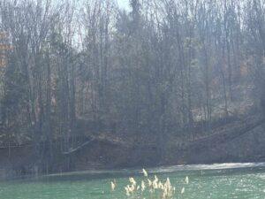 lac Stei Valea Untului (26)