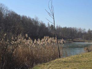 lac Stei Valea Untului (31)