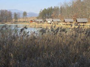 lac Stei Valea Untului (39)