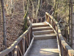 lac Stei Valea Untului (41)