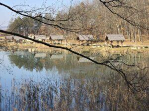 lac Stei Valea Untului (42)