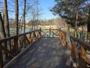 lac Stei Valea Untului (50)