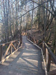 lac Stei Valea Untului (79)
