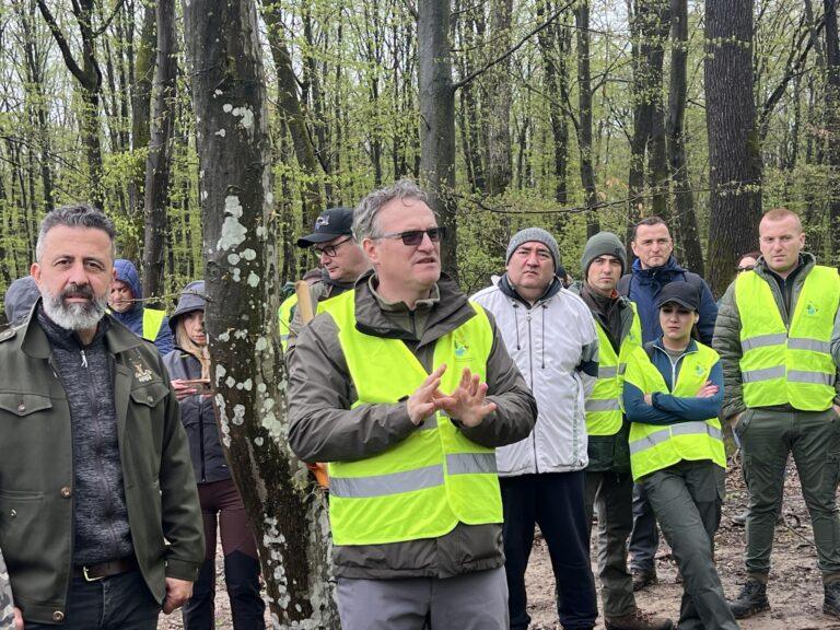 Studenții și profesorii de la Silvicultură au ieșit la plantat