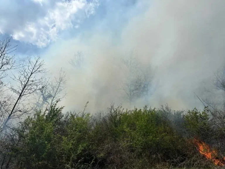 Peste 150 de intervenții ale pompierilor bihoreni în minivacanța de Paște