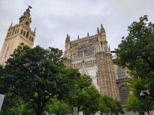 Sevilla Pedagogic Oradea (6)