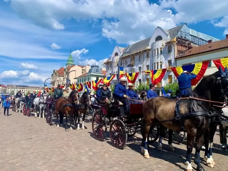 Spectacol ecvestru în centrul Oradiei: Parada atelajelor – preambul la Concursul Internațional de Atelaje Oșorhei
