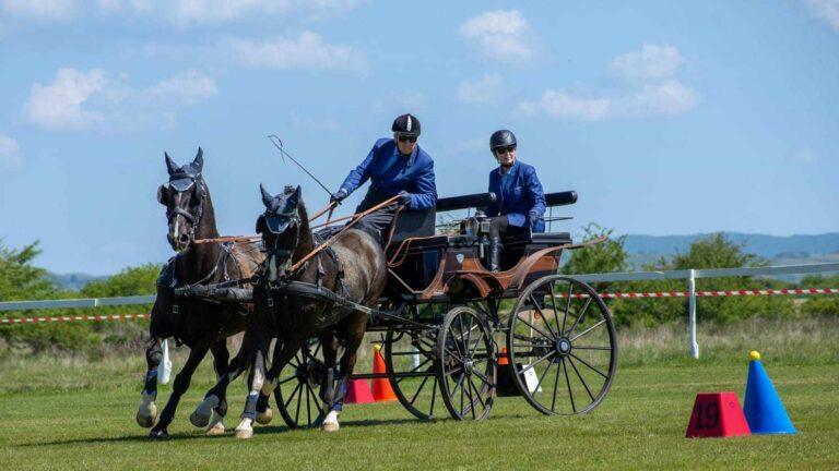 Campionatul Balcanic de Atelaje va fi organizat în comuna Oșorhei