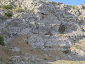 betfia 1 (12)