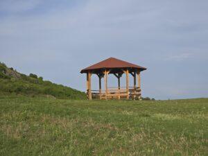 betfia (2)