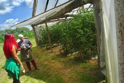 Peste 39 de milioane de euro au intrat în conturile tinerilor fermieri bihoreni