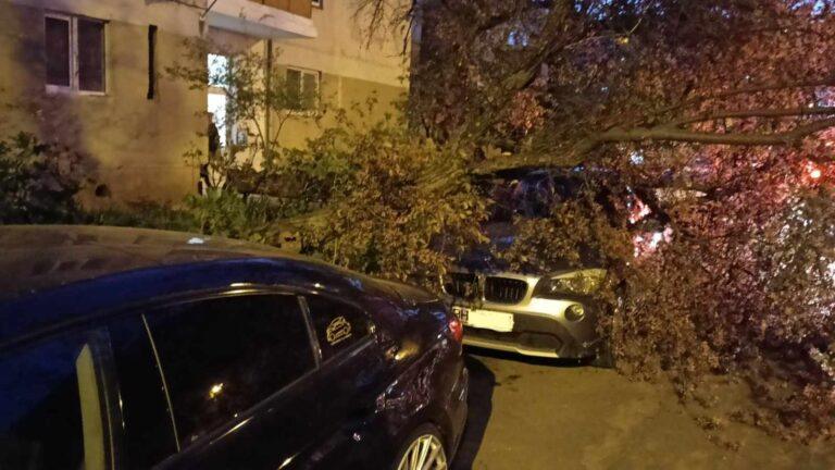 Atenție la locul în care vă parcați autoturismele! Cod galben de vânt puternic în Bihor