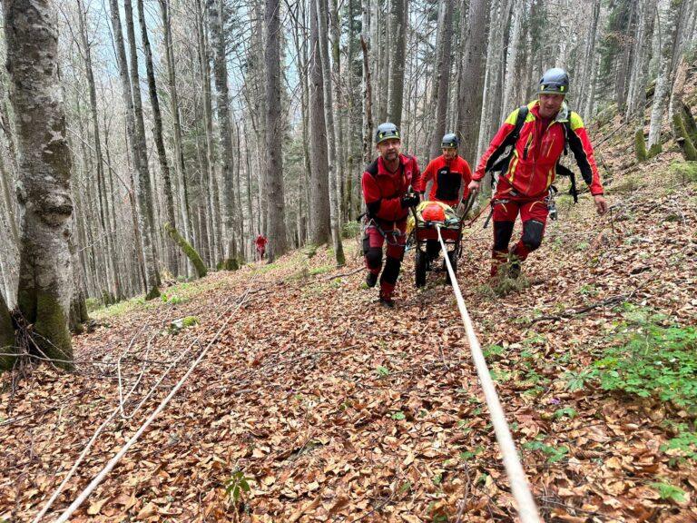 Cinci turiști s-au rătăcit la Stâna de Vale. Echipele Salvamont-Salvaspeo Bihor îi caută