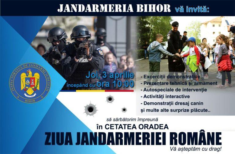 Dresaj canin, demonstrații, intervenții și echipamente speciale, în Cetatea Oradea