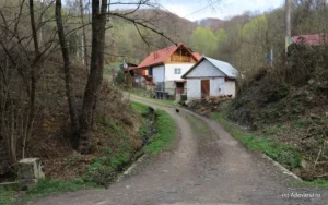 Povestea satului amărât din munții de aur, cupru și andezit-05