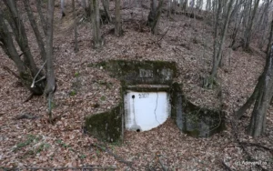 Povestea satului amărât din munții de aur, cupru și andezit-14
