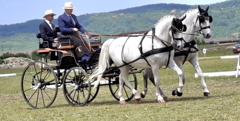 Spectacol ecvestru de talie mondială, la Oșorhei