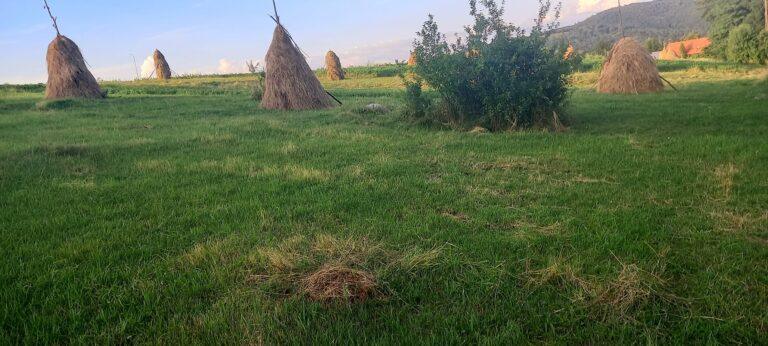 O familie de antreprenori a cumpărat câteva zeci de case într-un sat uitat de lume din Bihor şi dezvoltă primul sat turistic tradiţional românesc. „Vom avea capacitate de cazare de 100-120 de persoane“