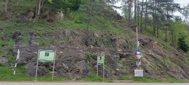 Dealul cu Melci, arhiva geologică din inima Apusenilor, unică în România
