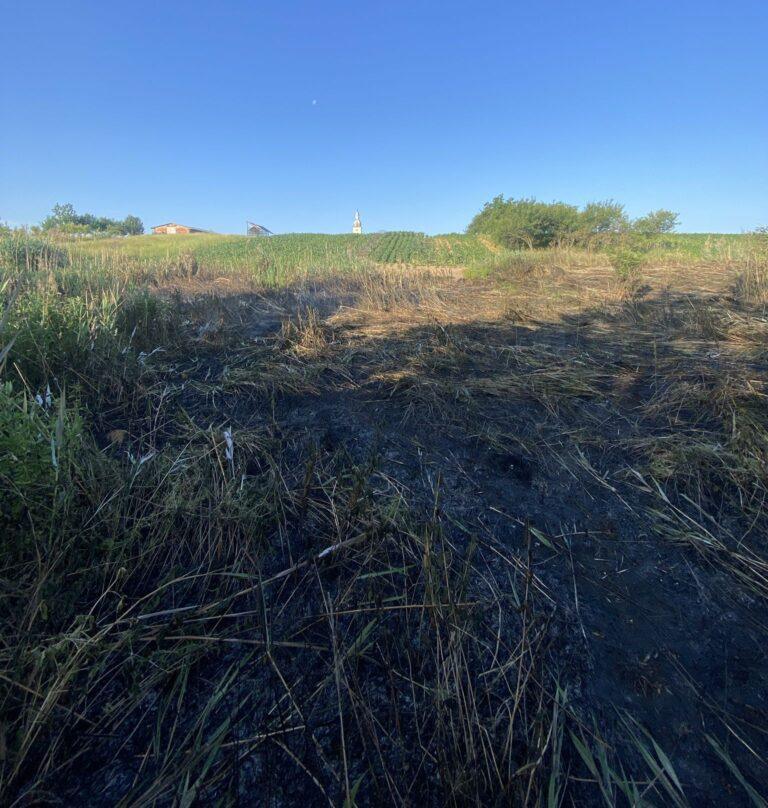 11 incendii de vegetație uscată produse în weekend, în Bihor