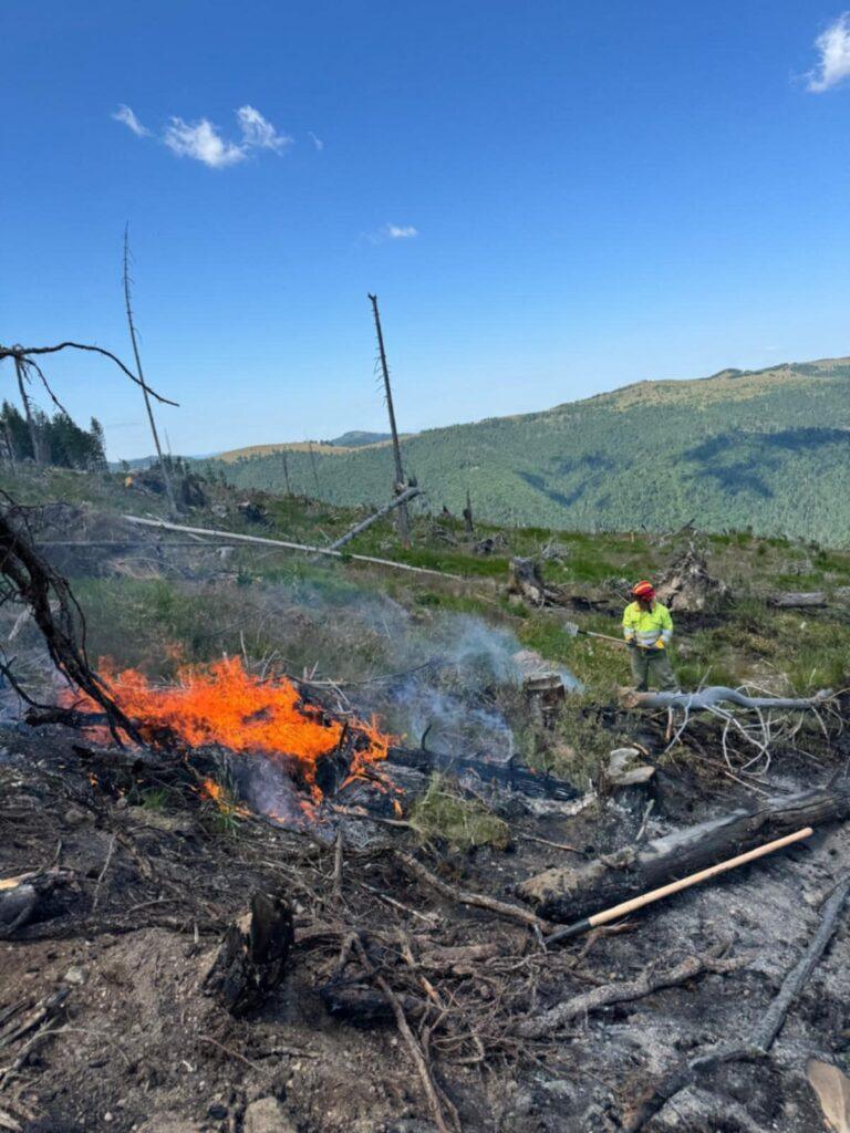 Foc violent în pădurea din comuna Remeți. Pompierii au făcut 2 km pe jos, cu rucsacii de stingere plini cu apă, în spate