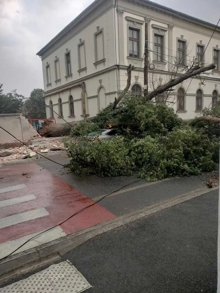 Copaci căzuți, drumuri blocate și cabluri rupte în Bihor – județul, sub cod galben și roșu de vreme severă