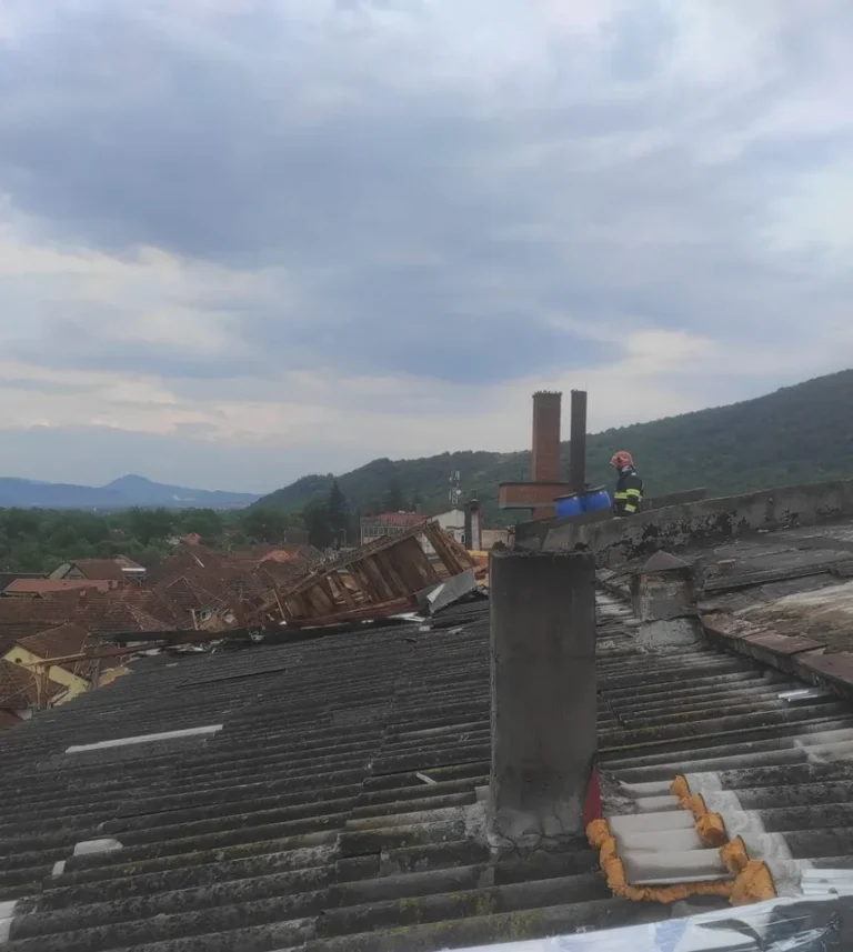 Peste 40 de intervenții ale pompierilor bihoreni, în ultimele 24 de ore, la incendii și gestionarea efectelor meteorologice