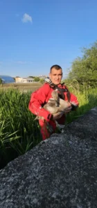 Pui de lebădă salvat de pompierii orădeni-01 FOTO: ISU Crișana